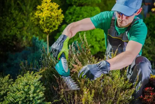 landscaping services East Williston